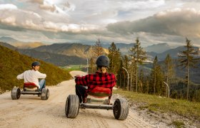 Svižná jazda dolu z kopca na horských motokárach!, © Niederösterreich-CARD/schwarz-koenig.at