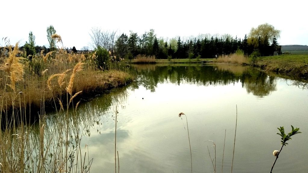 Vodný svet Watzelsdorf