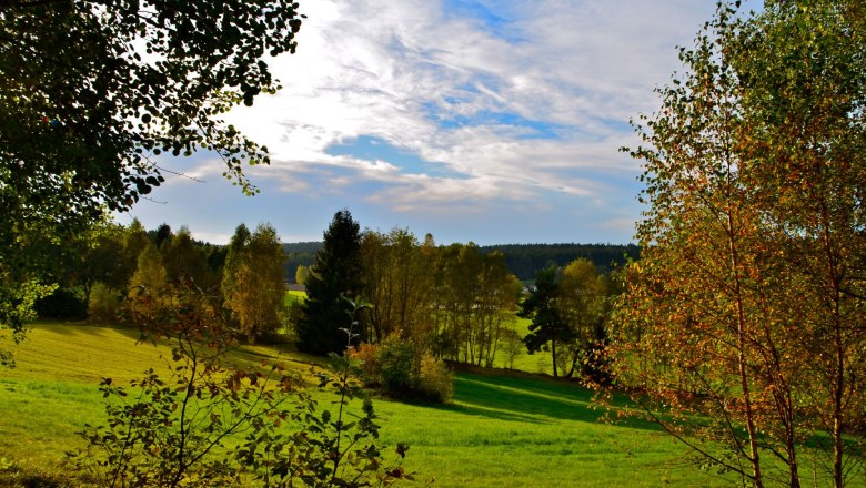 Surroundings of H&ouml;rmanns, &copy; Litschau