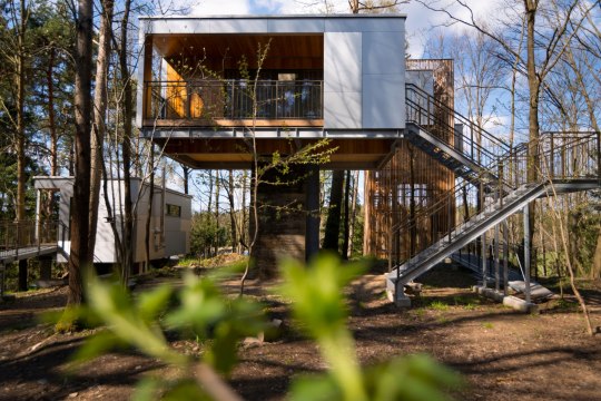 v domčeku na strome Schrems, © Baumhaus Lodge Schrems
