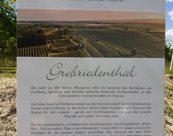 Wolfsbane, &copy; Verena Schnatter