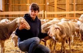Sheep's cheese from the milk of our own "Michlm&auml;derln", &copy; Milchm&auml;derl