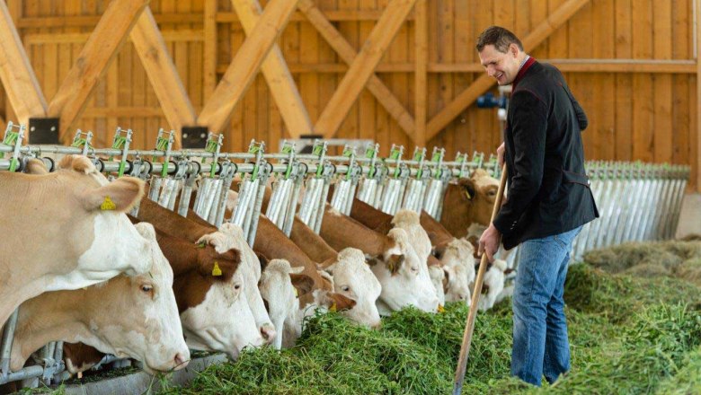 Hammerschmidt organic farm, © Netzwerk Kulinarik/Martina Siebenhandl
