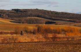 Kreutwald, © Weinviertel Tourismus / Mandl