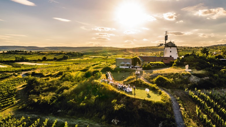 Večera vo vinohradoch regiónu Weinviertel, © Weinviertel Tourismus/Robert Herbst