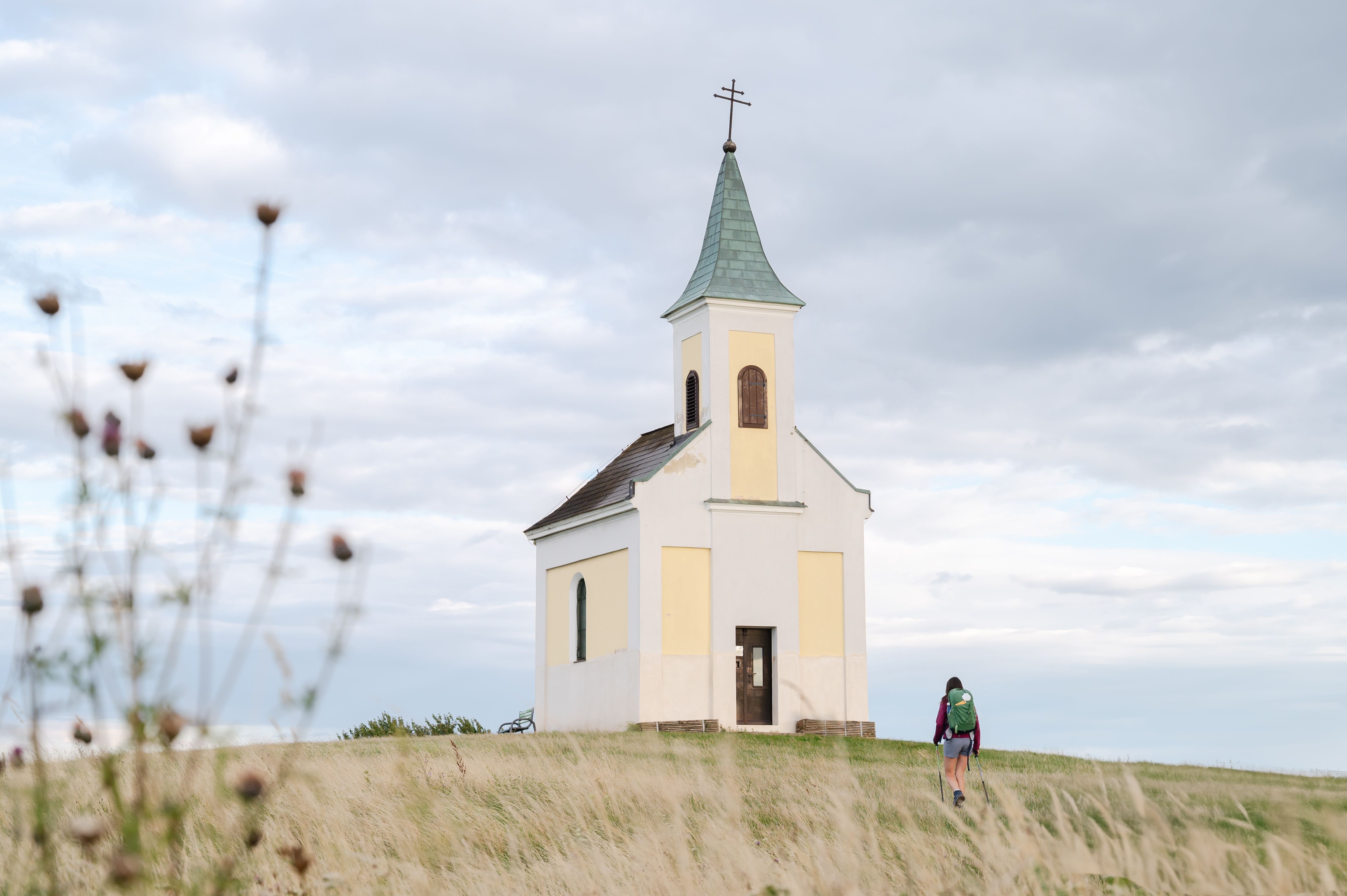 Michelberg_Jakobsweg Weinviertel (c) WTG_Claudia Schlager (5)