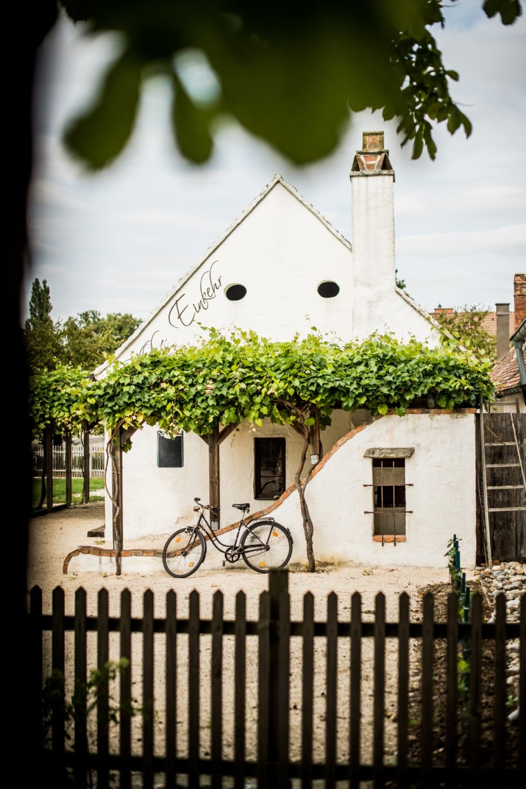 Príjemná cyklistika v oblasti Weinviertel, © Michael Reidinger