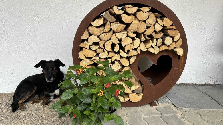 V&yacute;zdoba terasy, &copy; WANDLHOF