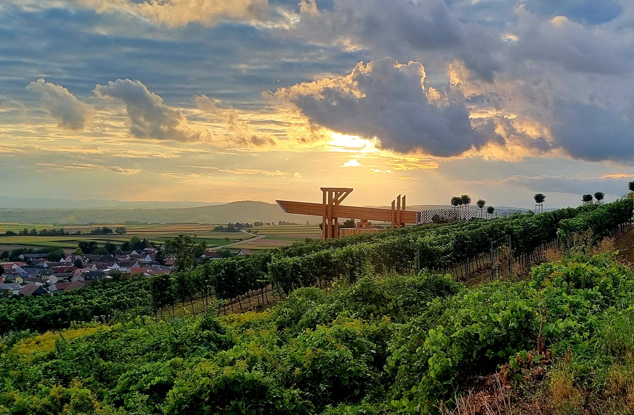 Vinohrady pri západe slnka s modernou terasou v pozadí.