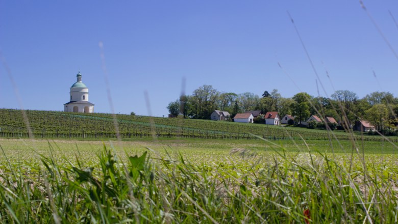 Die Natur genießen, © Fam. Lobner