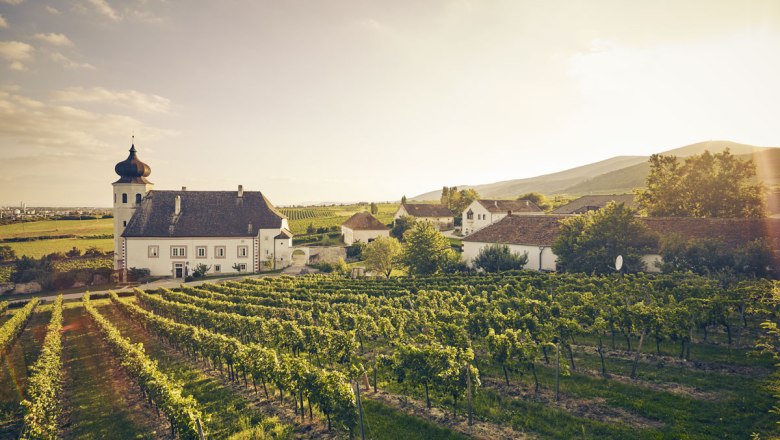 Verný sprievodca po oblasti Thermenregion: víno – tu v meste Thallern, © Andreas Hofer