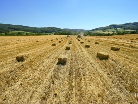 Wiesen und Felder s&auml;umen den Weg, &copy; Franz Haslinger