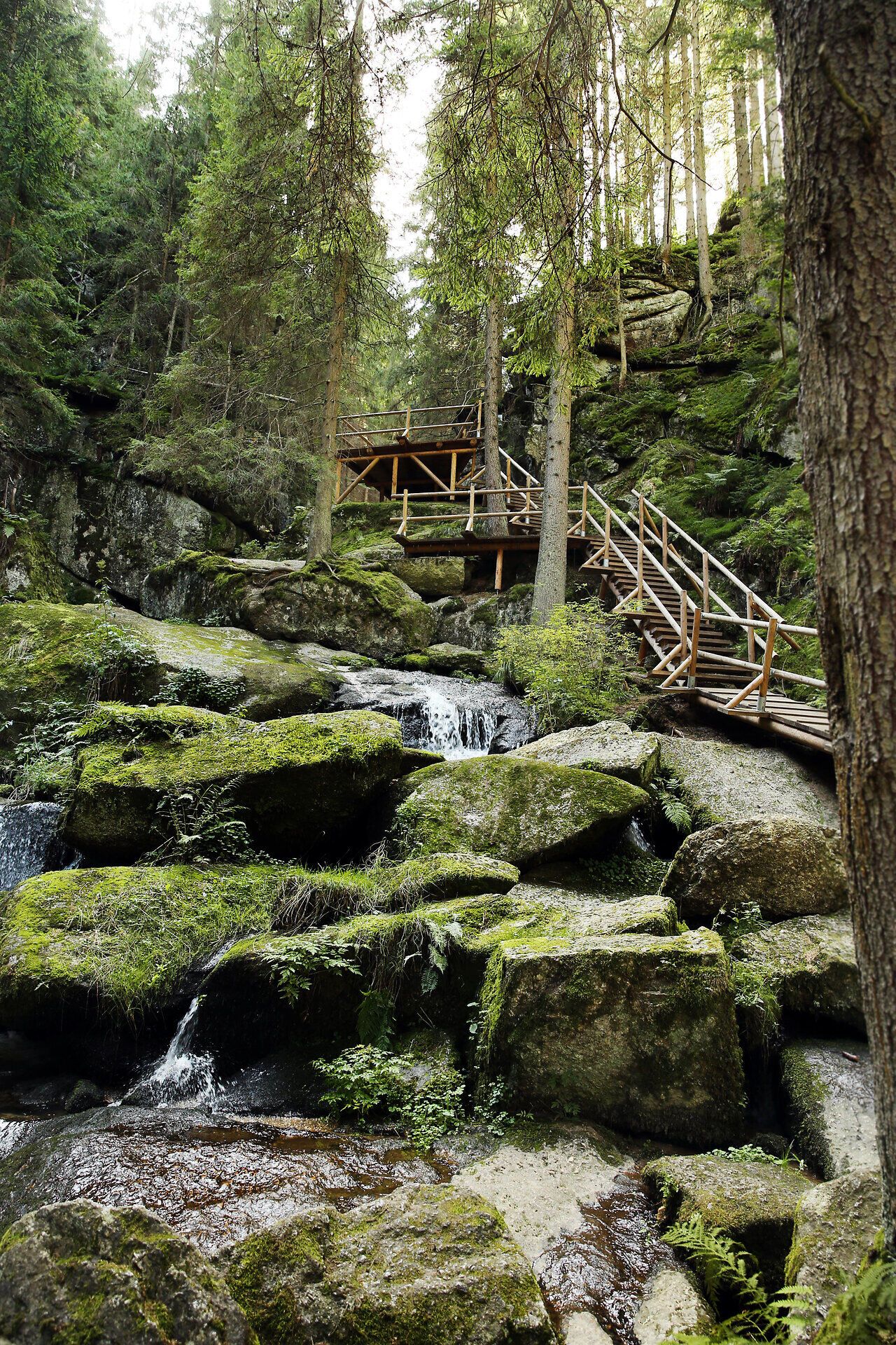 Umgeben von majestätischen Bäumen und sanften Felsen fließt das Wasser des Lohnbachfalls in glitzernden Strahlen über die moosbedeckten Steine. Die frische, klare Luft und das sanfte Plätschern des Wassers schaffen eine friedliche Atmosphäre, die zum Verweilen einlädt.
