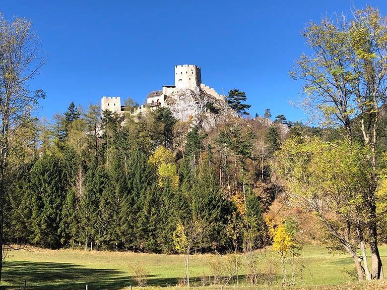 Zrúcanina Losenheim na kopci so stromami v popredí.