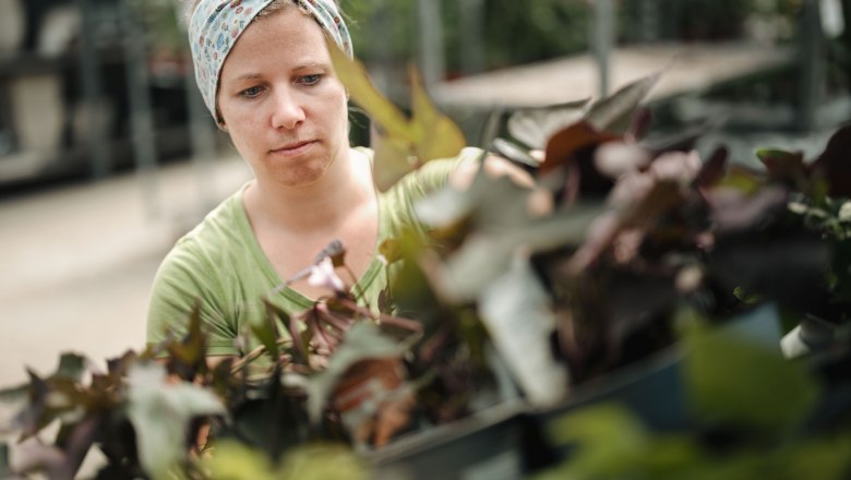Starkl dobrodružn&aacute; z&aacute;hrada, &copy; Moststra&szlig;e, dochbodnliacht
