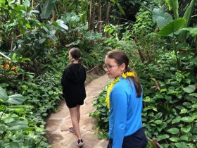 Na mot&yacute;ľom safari svetom mot&yacute;ľov v Tattendorfe, &copy; Wienerwald Tourismus GmbH