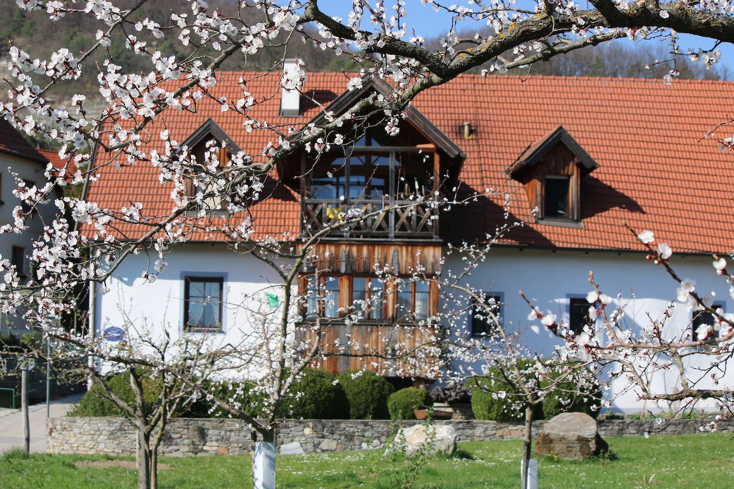 Rekreačné byty Seitner, pohľad zvonku