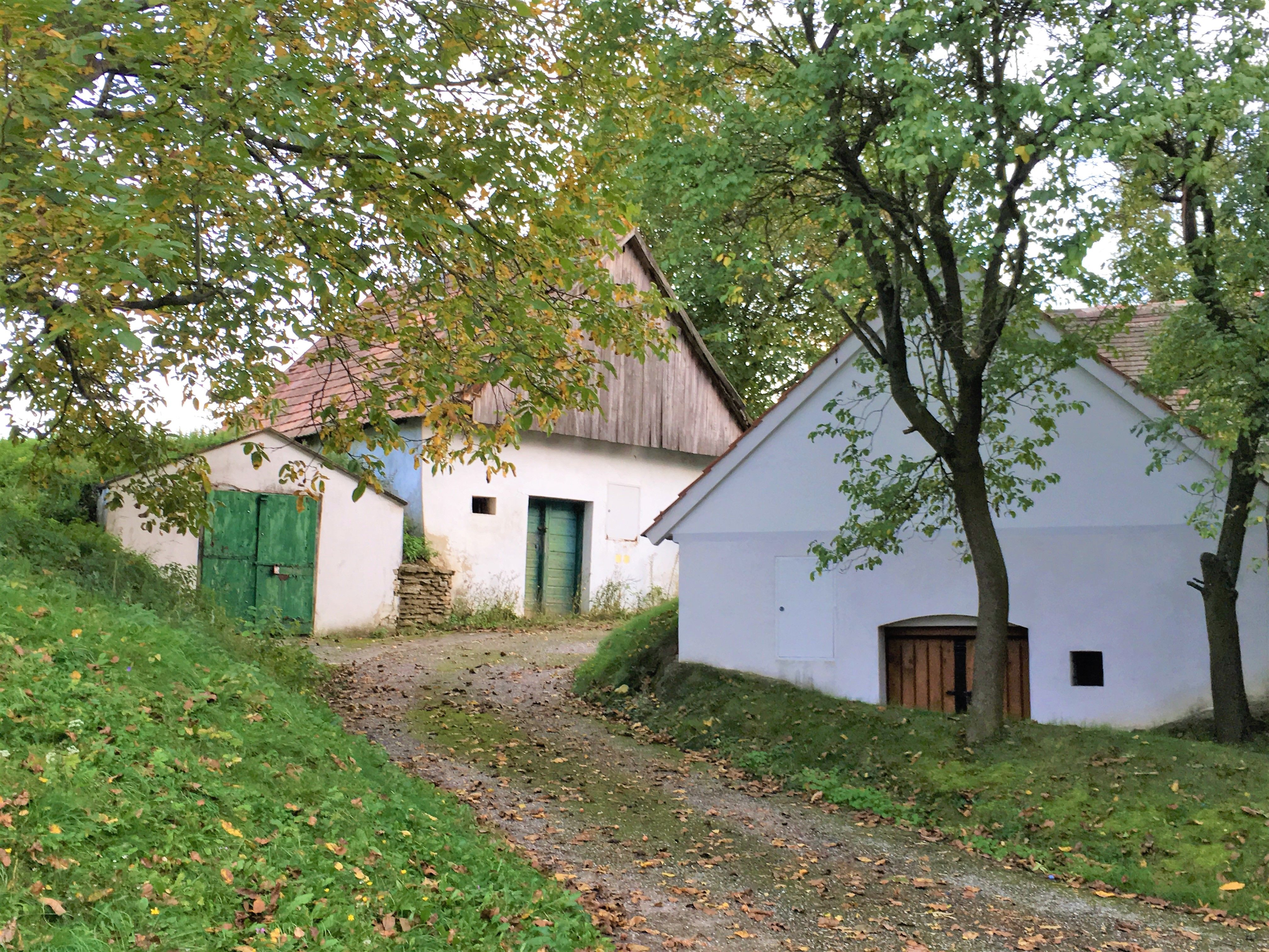 Vínne uličky Ameis s bielymi budovami a zelenými dverami, obklopená stromami a trávou.