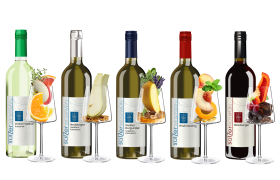Wine flavors, © www.informativ.cc Gisela Plank