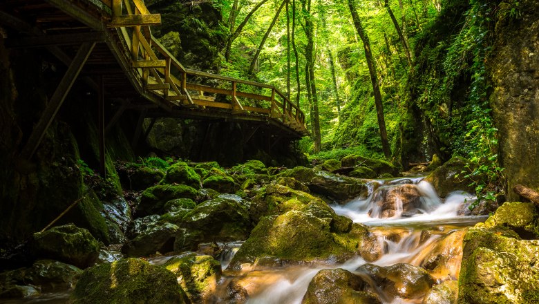 Turistika v tieni rokliny Johannesbachklamm, © Wiener Alpen / Christian Kremsl