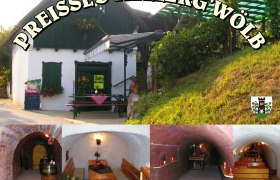 Preissl's Kellerg'wölb, © Preissl