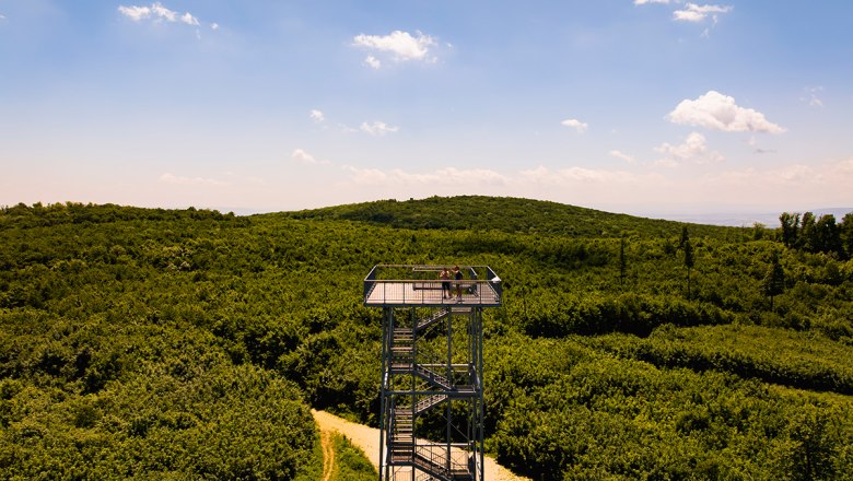 SS_Kaiser-Jubiläums-Warte on the Eschenkogel, © Sascha Schernthaner_Wienerwald Tourismus