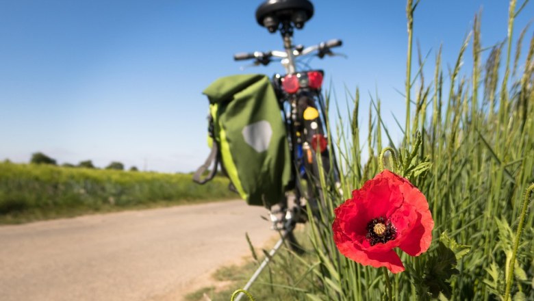 cycling-5178398_960_720, © Didgeman
