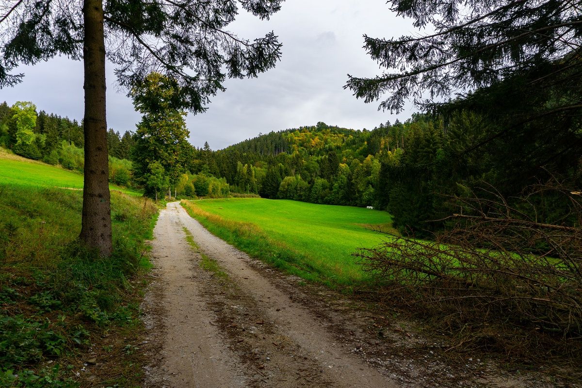 Traunfellnerova ulica