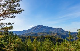Torm&auml;uer &Ouml;tscher, &copy; Josef Bollwein