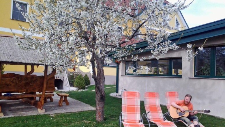 kerndlerhof_tree blossom splendor, &copy; Kerndlerhof