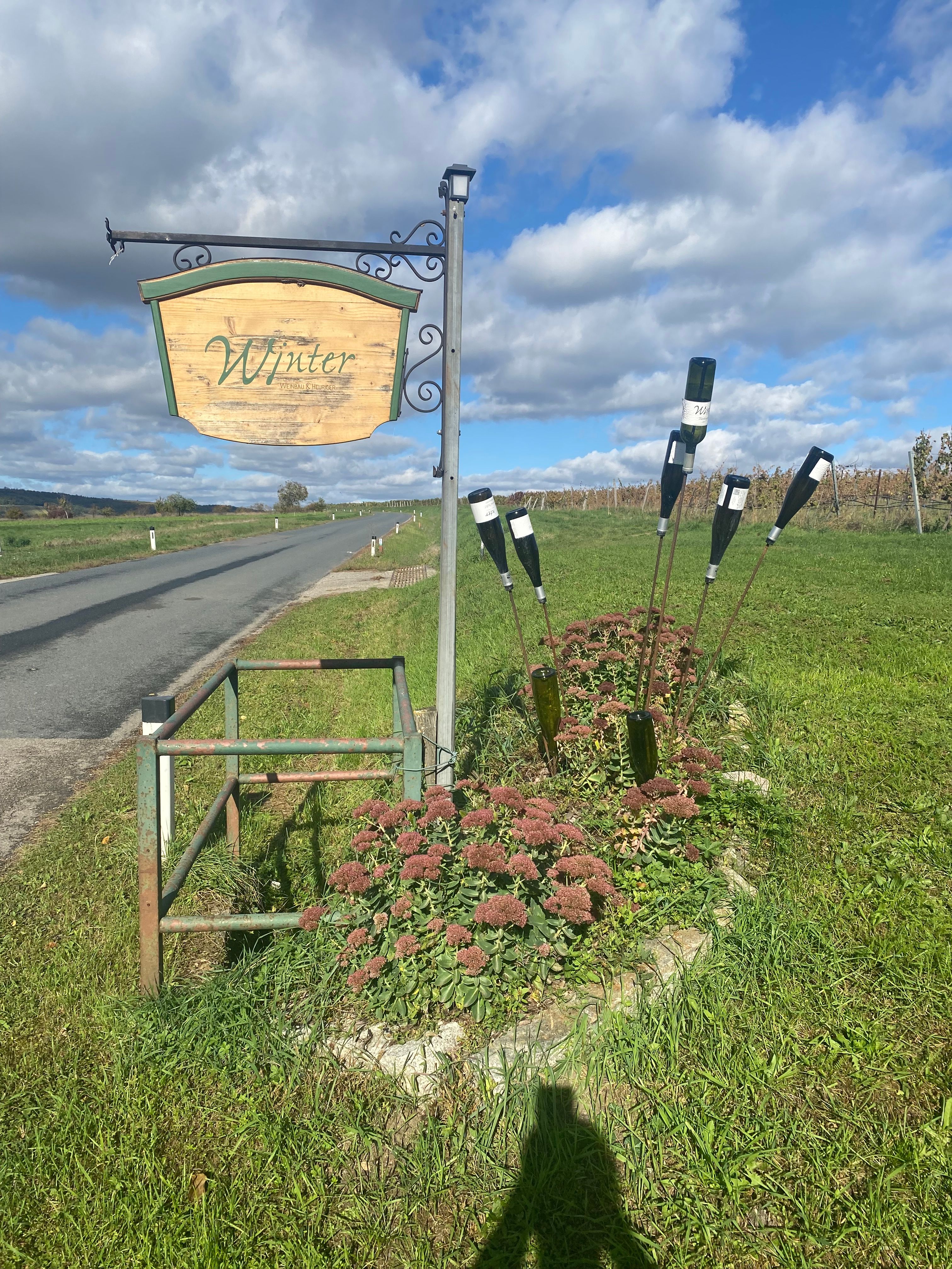 Drevená tabuľa s nápisom "Zima" stojí pri ceste vedľa lúky s kvetmi a fľašami ako dekoráciou.