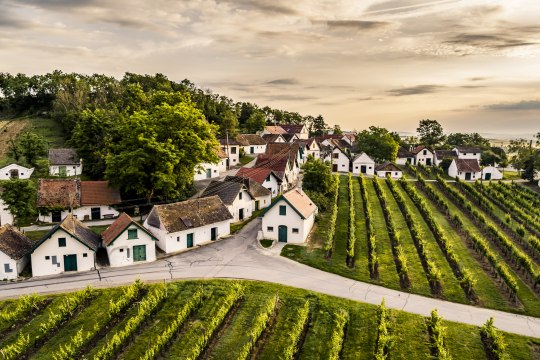 Jeseň. Láska. Pivničné uličky., © Robert Herbst