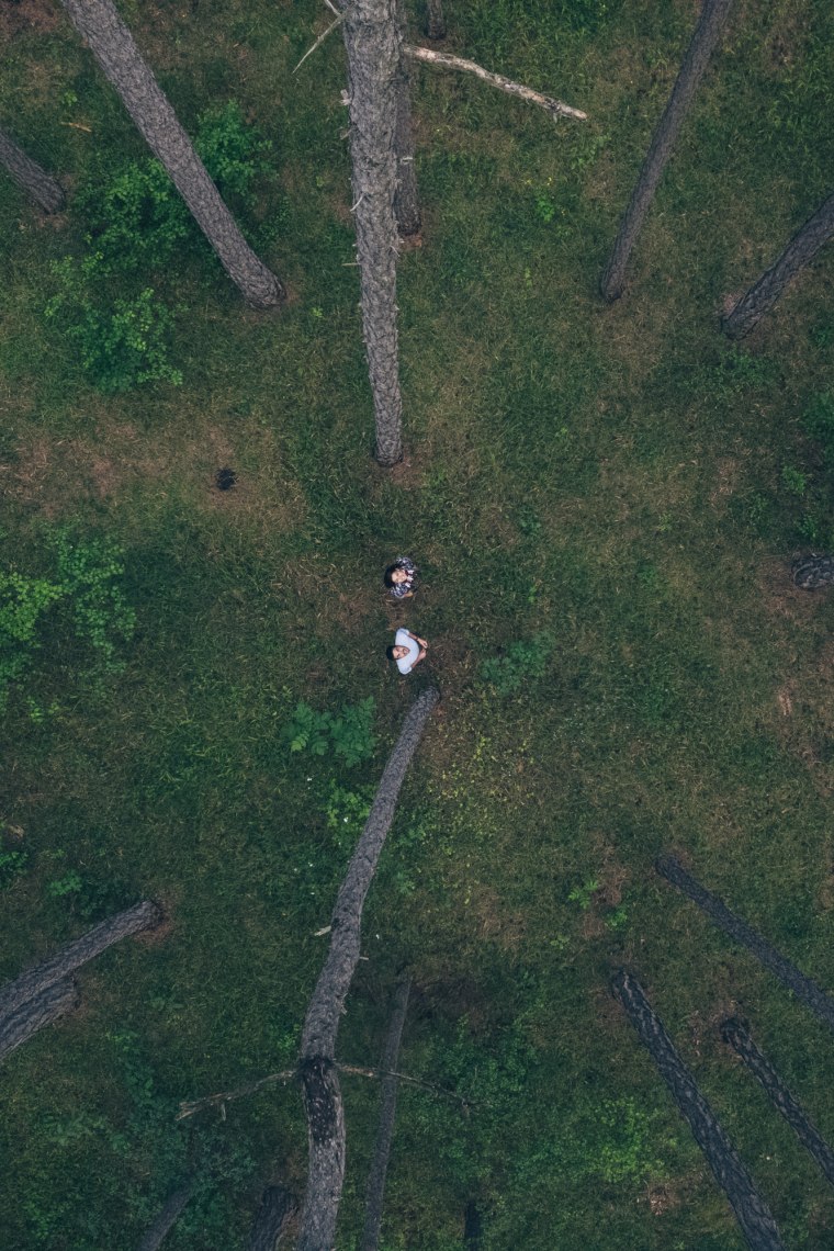 Obrovské borovicové lesy vo Viedenskom lese, © Niederösterreich Werbung/ Ian Ehm