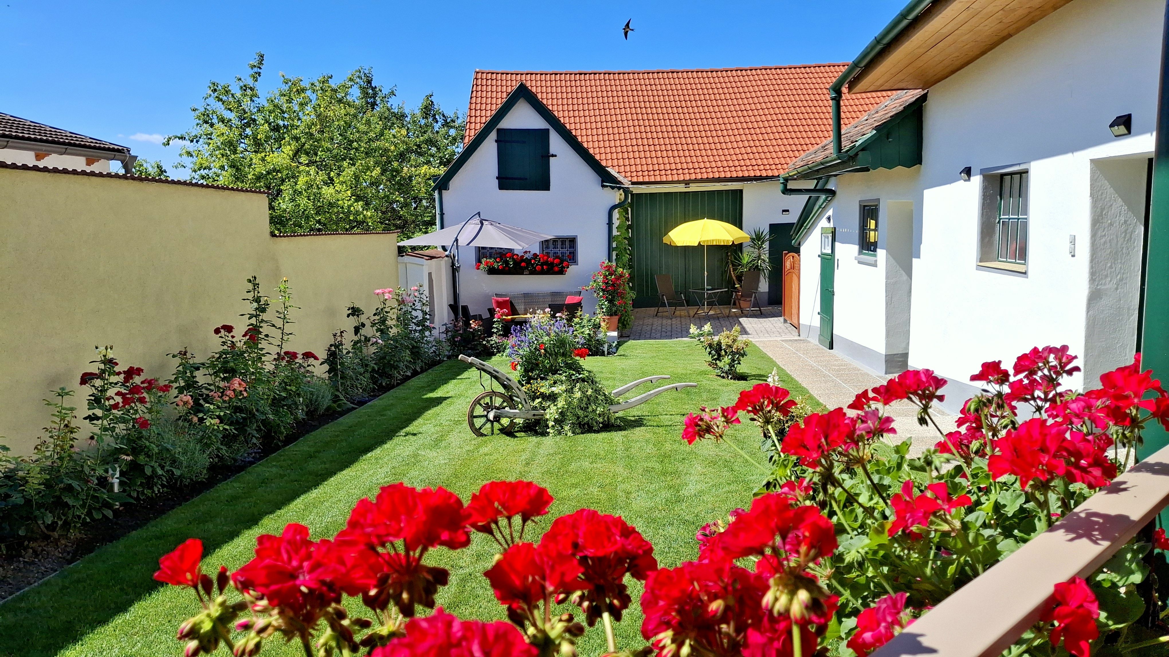 Upravená záhrada s červenými kvetmi, starý pluh a dom s červenými škridlami v pozadí.