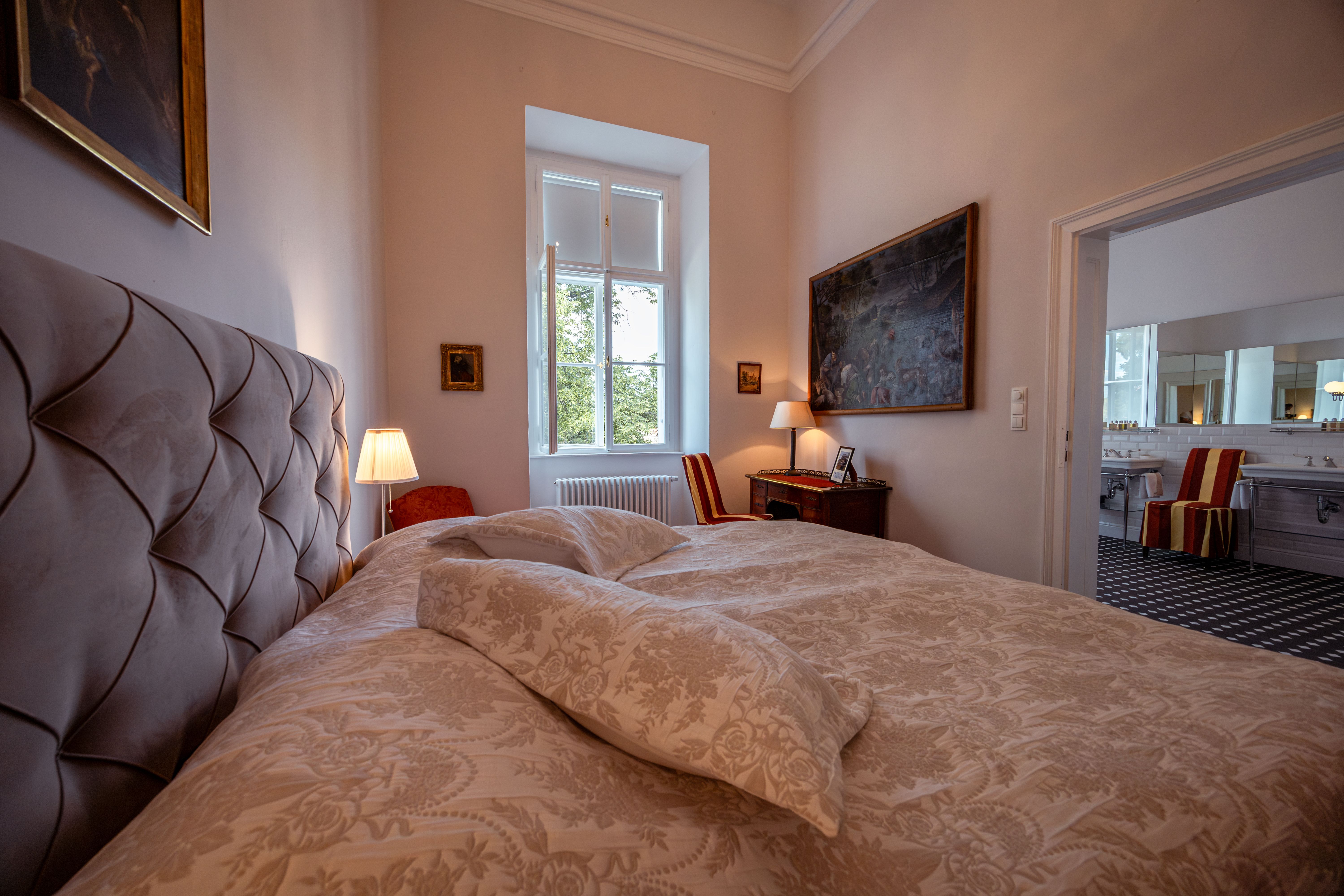 Letecký pohľad na hrad Horn s červenou strechou a hodinovou vežou, obklopený stromami a mestom v pozadí.