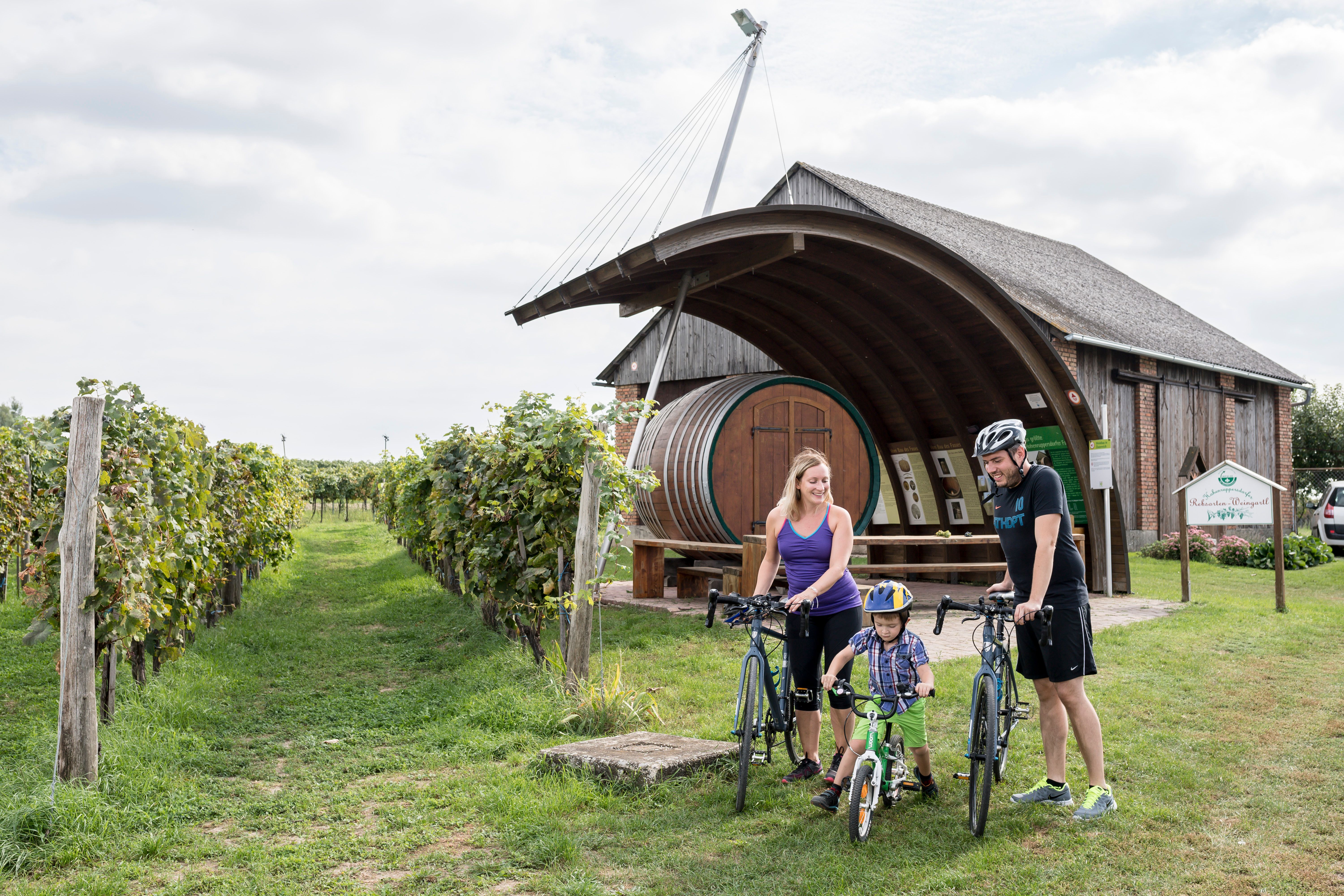 Rodina s bicyklami pred vinárstvom s veľkým sudom v Hohenruppersdorfe.