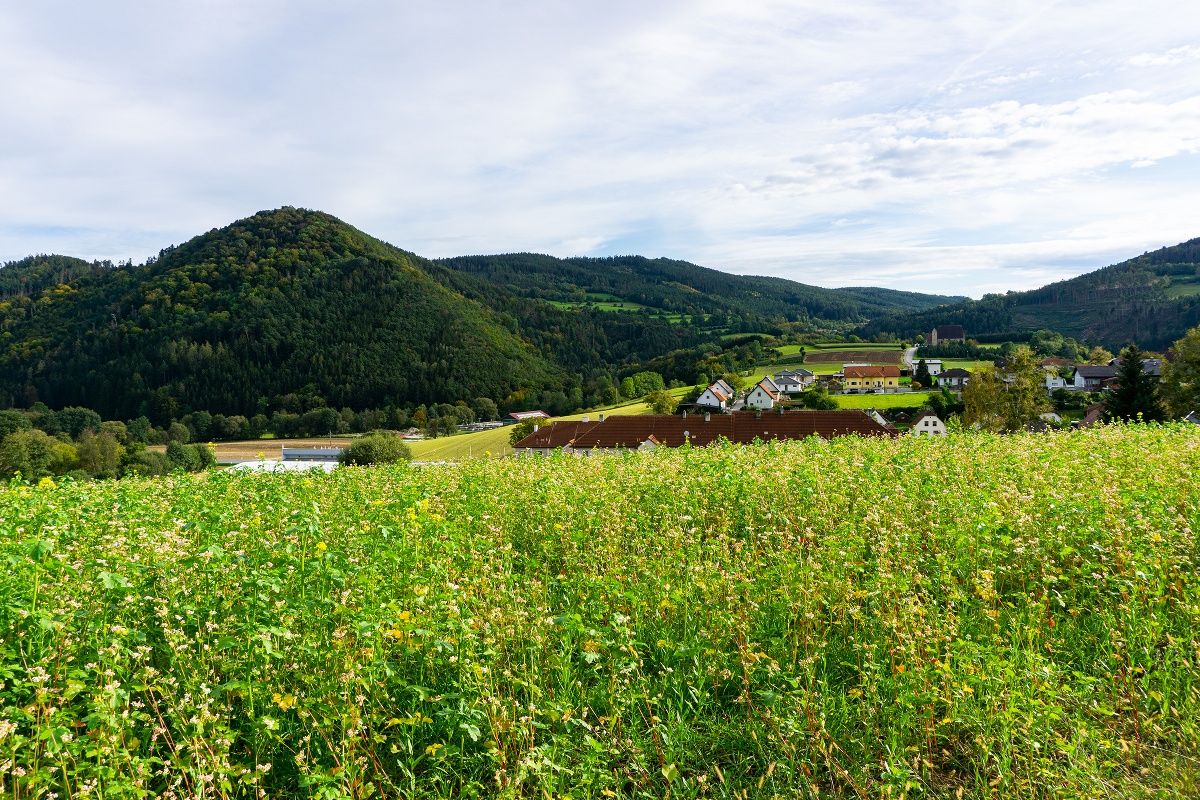 Výhľad na Mandlgupf, Hinterberg a kostol svätej Anny
