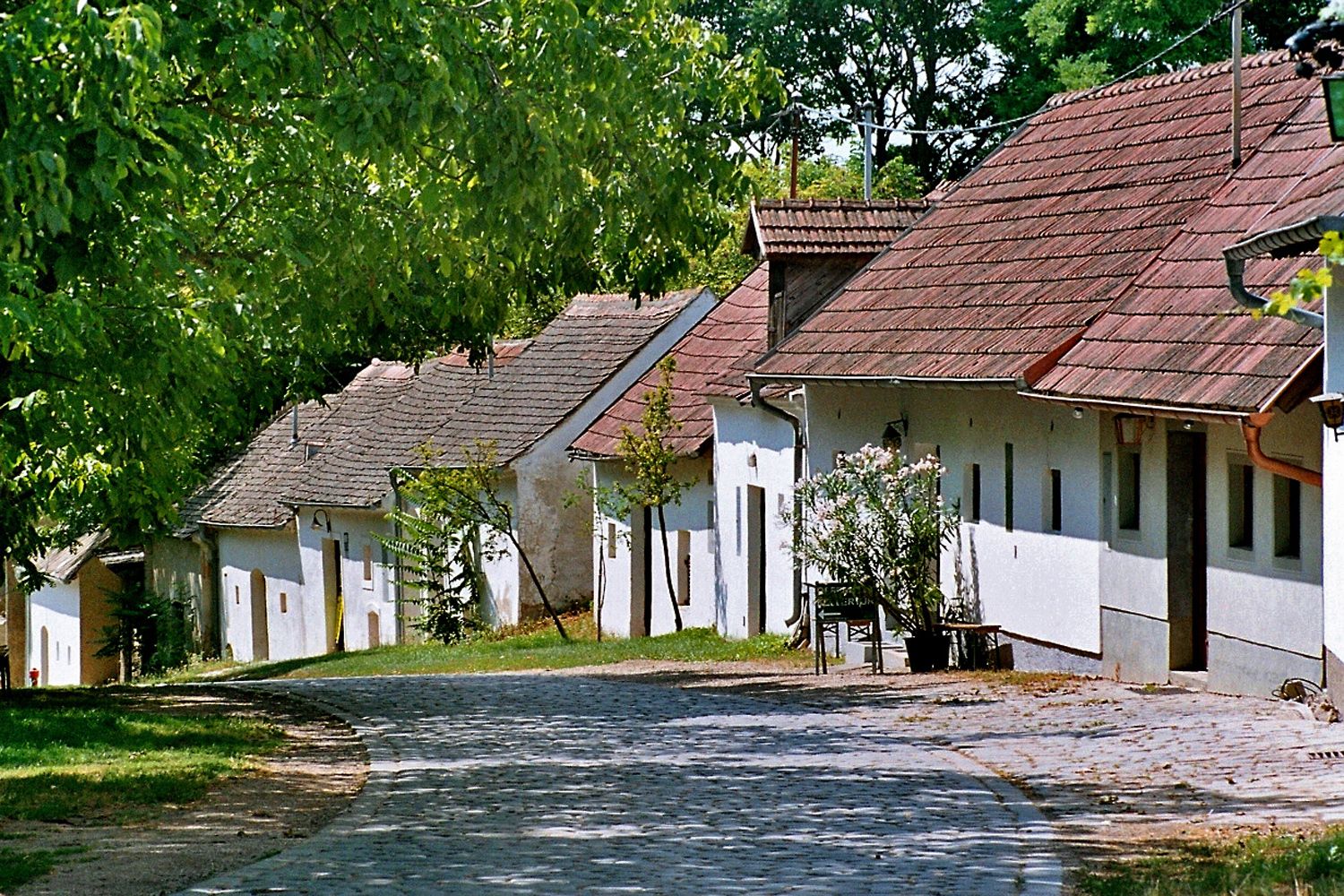 Malebná vínna ulička so starými bielymi vínnymi pivnicami a dlažbou v Pillichsdorfe, obklopená zelenými stromami.