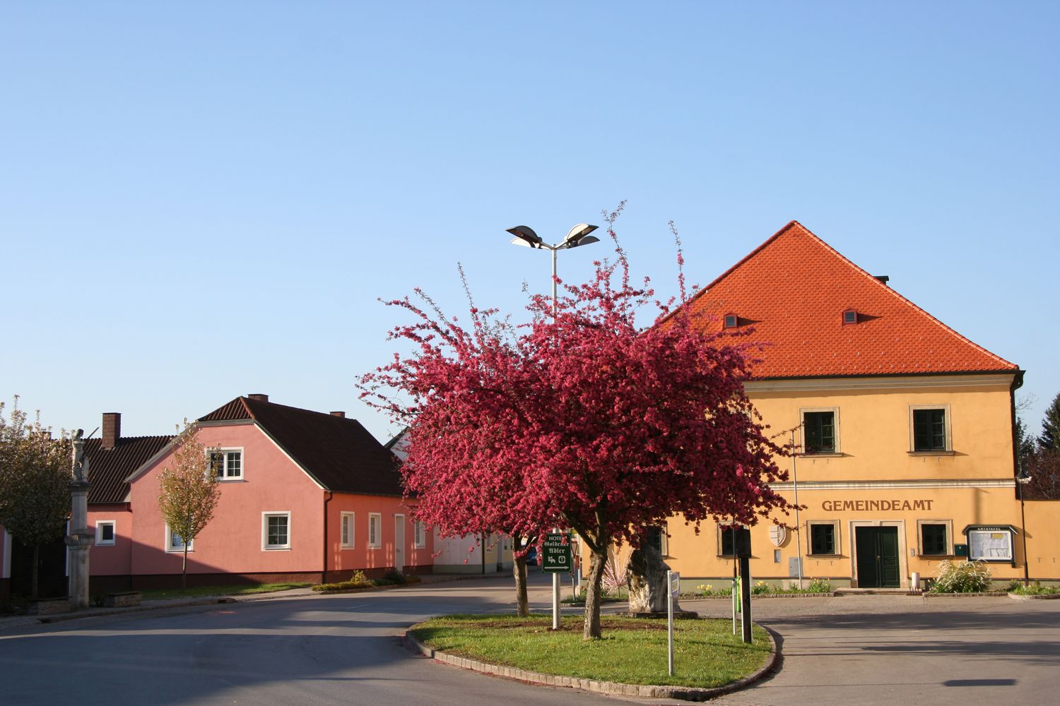 Žltá budova s nápisom "Gemeindeamt" a rozkvitnutým stromom pred ňou.