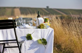 Víno a gurmánstvo vo Weinviertel, © Weinviertel Tourismus/ Lammerhuber