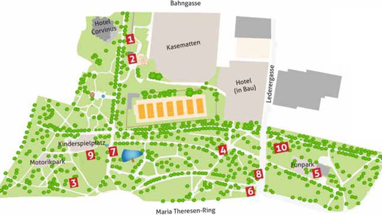 Park hostí niekoľko výnimočných rastlín, © Stadt Wiener Neustadt/Weiler, Stadtarchiv
