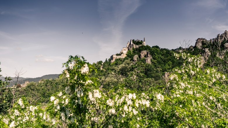 Dürnstein in spring, © Robert Herbst