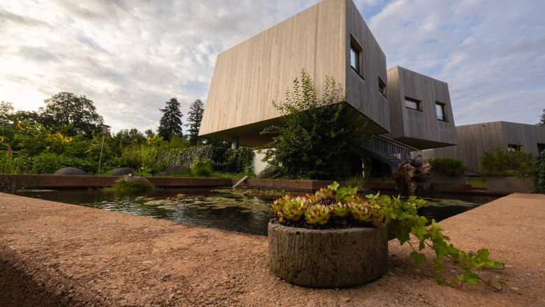 Moderné drevené záhradné podkrovia s jazierkom a rastlinami v popredí.