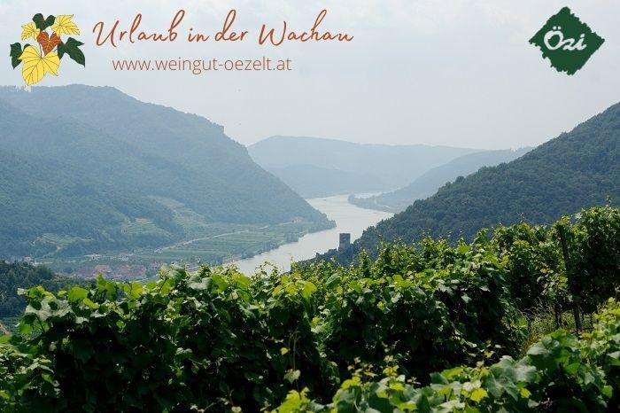 Panoramatický pohľad na Wachau s vinicami a Dunajom v pozadí.