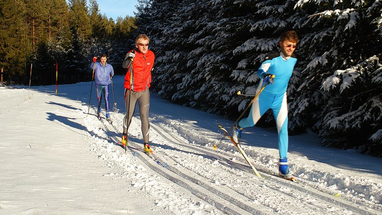At Einfalt B&B | Cross-country skiing in the Waldviertel, © Familie Einfalt