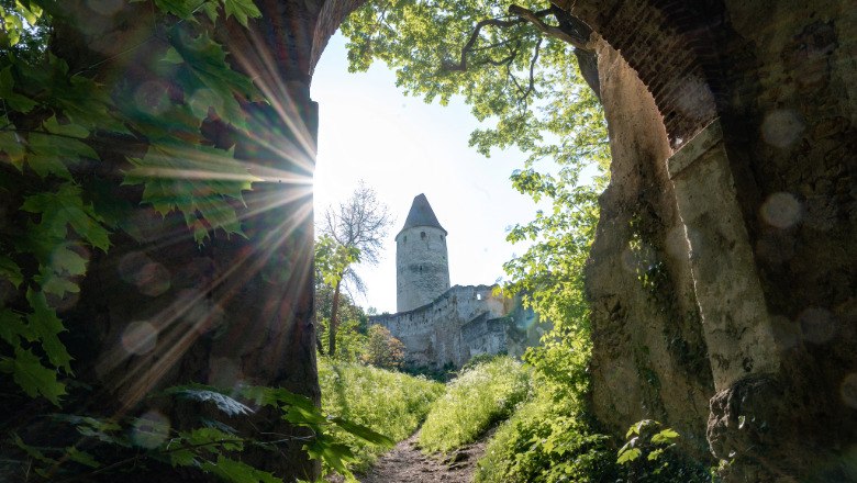 Castle tour to Seebenstein Castle, &copy; Claudia Schlager