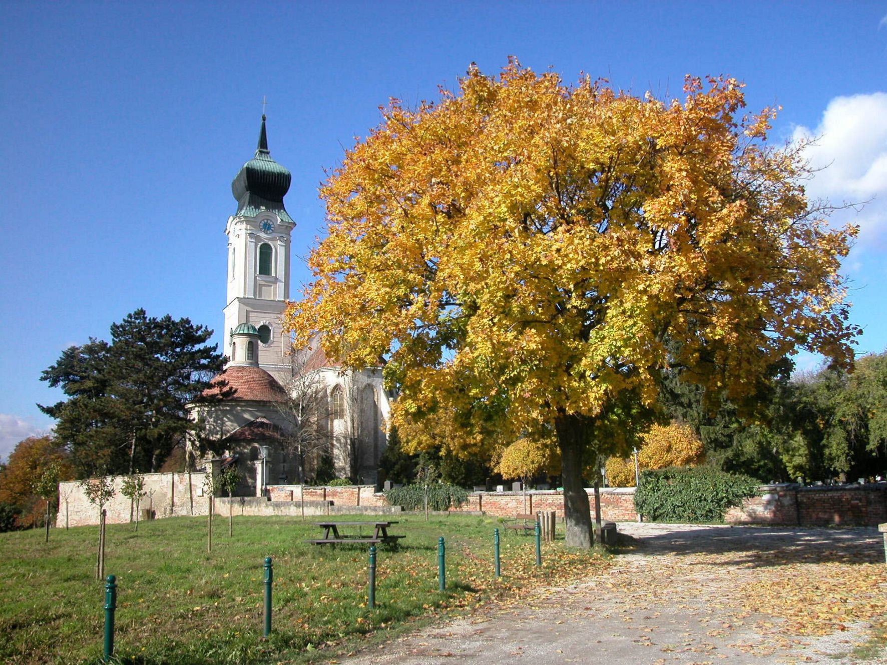 Kostol s vežou a jesenným stromom v popredí.