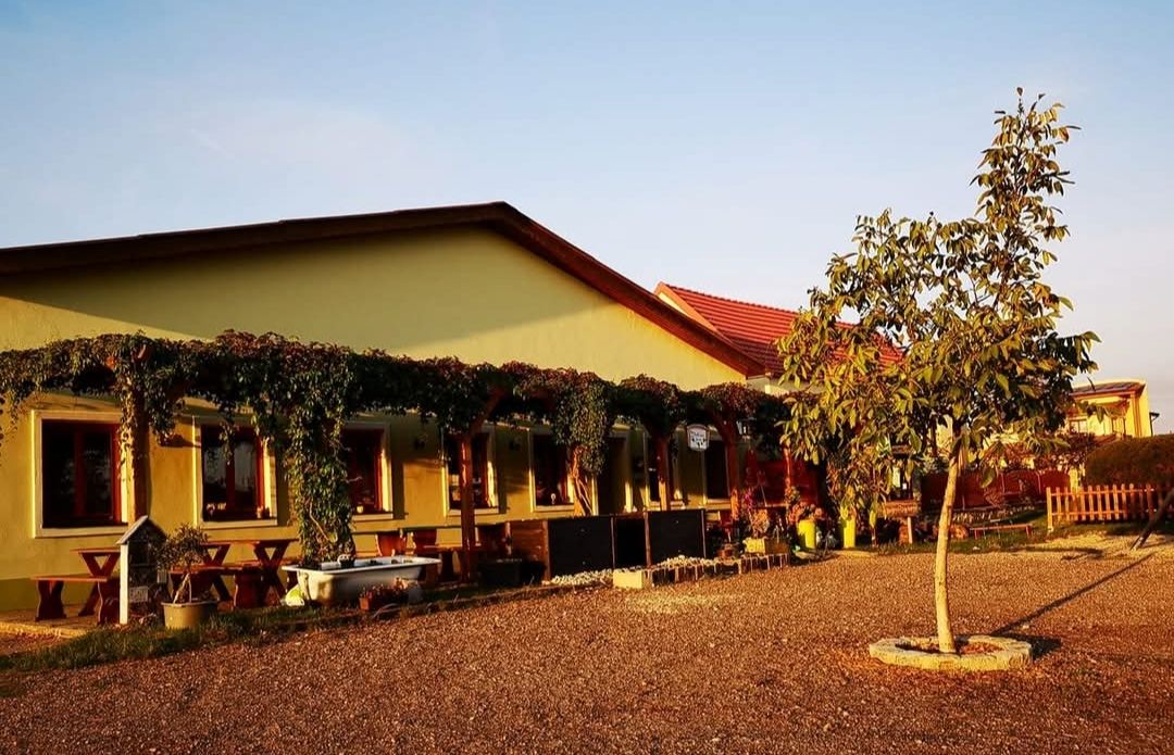Žltá budova s terasou, viničom a stromom v popredí pri západe slnka.
