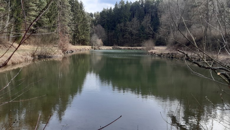 20200303_151701, © Gemeinde Pölla