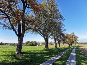 Trať Edlach, &copy; Brigitte Hofschwaiger
